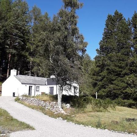 Torgoyle Cottage Інвернесс Екстер'єр фото