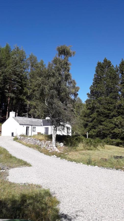 Torgoyle Cottage Інвернесс Екстер'єр фото